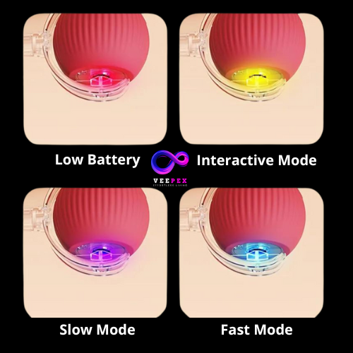 Interactive Rolling Toy Ball